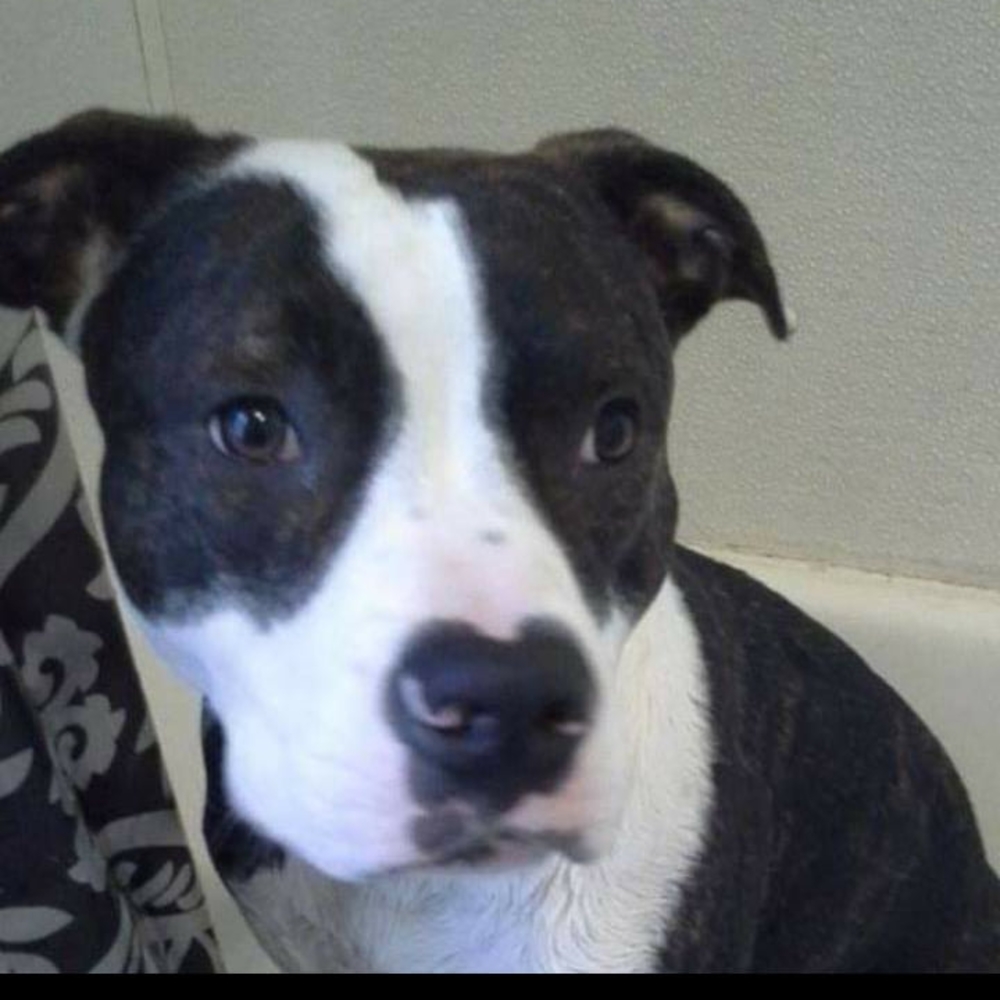 Meet your Posher, Jay